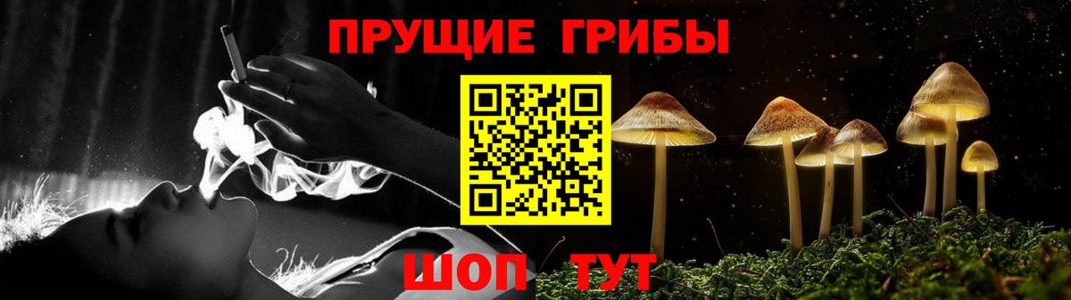 Галлюциногенные грибы MAGIC MUSHROOMS  цена   Галлюциногенные грибы Cubensis  Москва  Вход с VPN 