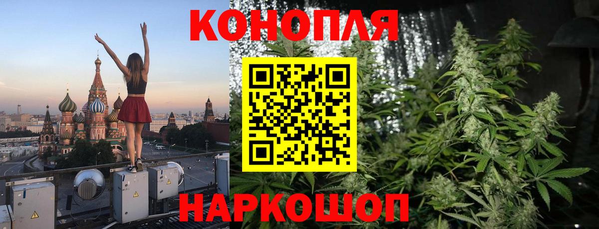 Каннабис SATIVA & INDICA Москва